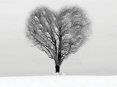 Shepherd School Opera