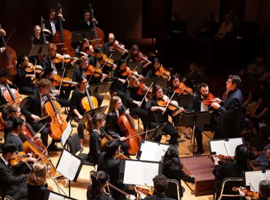 Momentum &amp; Majesty