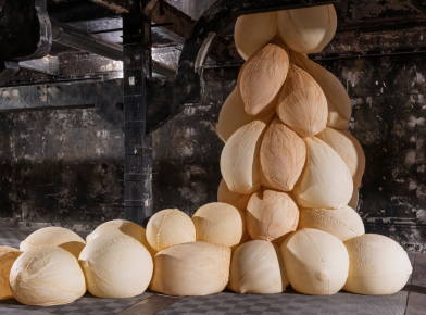 Opening Reception for Bio Morphe