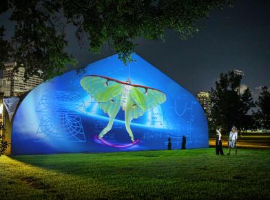 Opening Reception for Tent Series