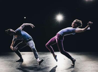 Dimensions Variable: Gabrielle Lamb