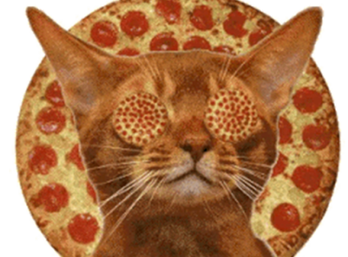 ART info session &amp; pizza party!