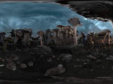 PLANET ∞ A Film by Momoko Seto