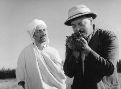 The Olive Trees of Justice (Les Oliviers de la Justice)