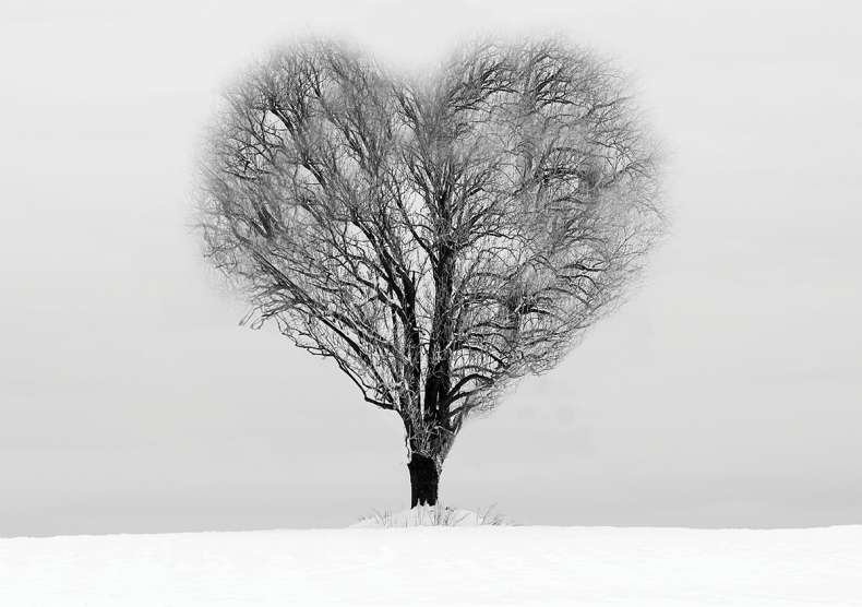 Shepherd School Opera