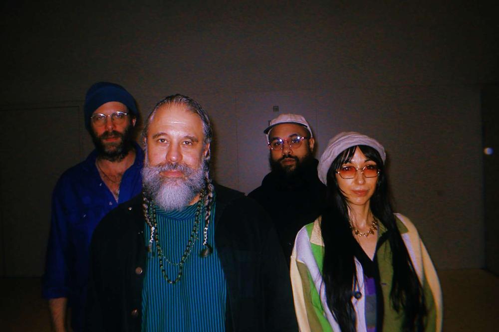 Dimensions Variable: Natural Information Society Musical Performance in the Galleries