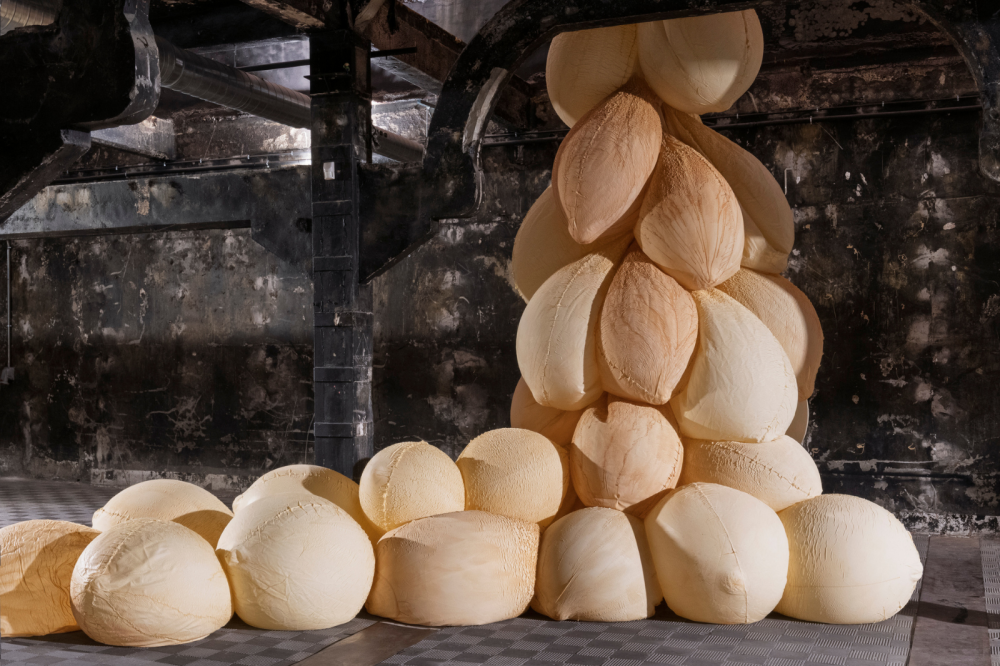 Opening Reception for Bio Morphe