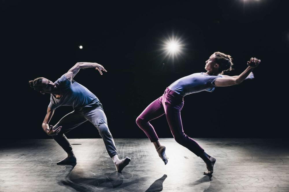 Dimensions Variable: Gabrielle Lamb