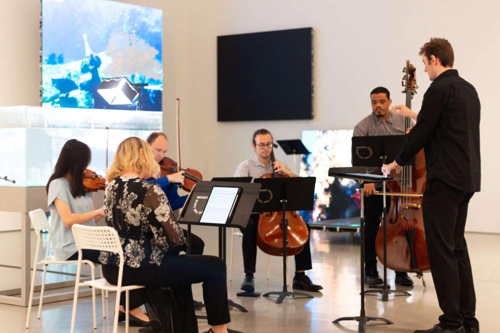 New Art / New Music Fall 2025