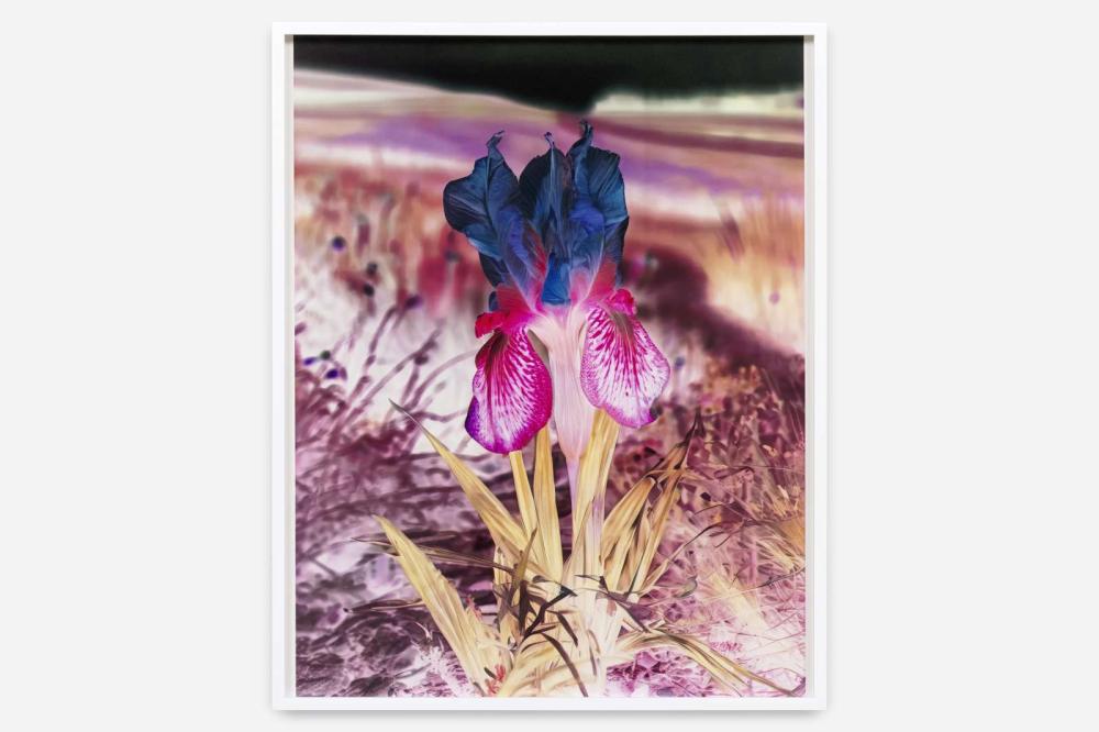 Opening Reception for Imaging After Photography