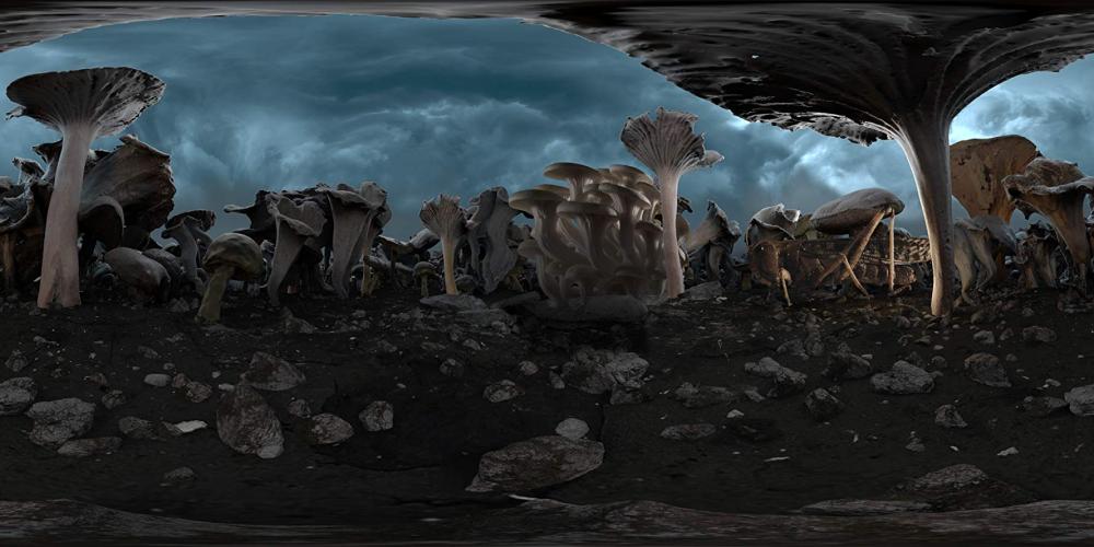 PLANET ∞ A Film by Momoko Seto