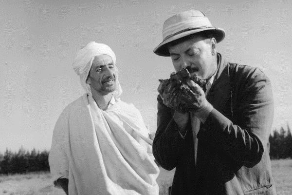 The Olive Trees of Justice (Les Oliviers de la Justice)